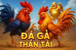 Đá Gà Thần Tài SO79 – Trải Nghiệm Giải Trí Hấp Dẫn Nhất